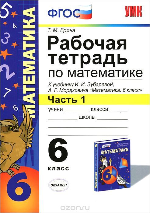 Математика. 6 класс. Рабочая тетрадь к учебнику И.И. Зубаревой, А.Г. Мордковича "Математика. 6 класс". В 2-х частях. Часть 1 Читай-город