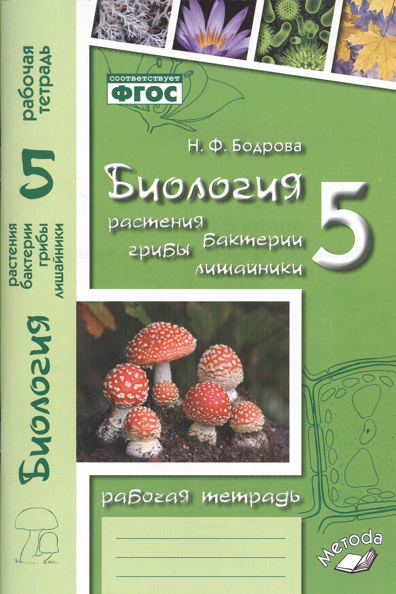 Биология. Растения. Бактерии. Грибы. Лишайники. 5 класс. Рабочая тетрадь Читай-город