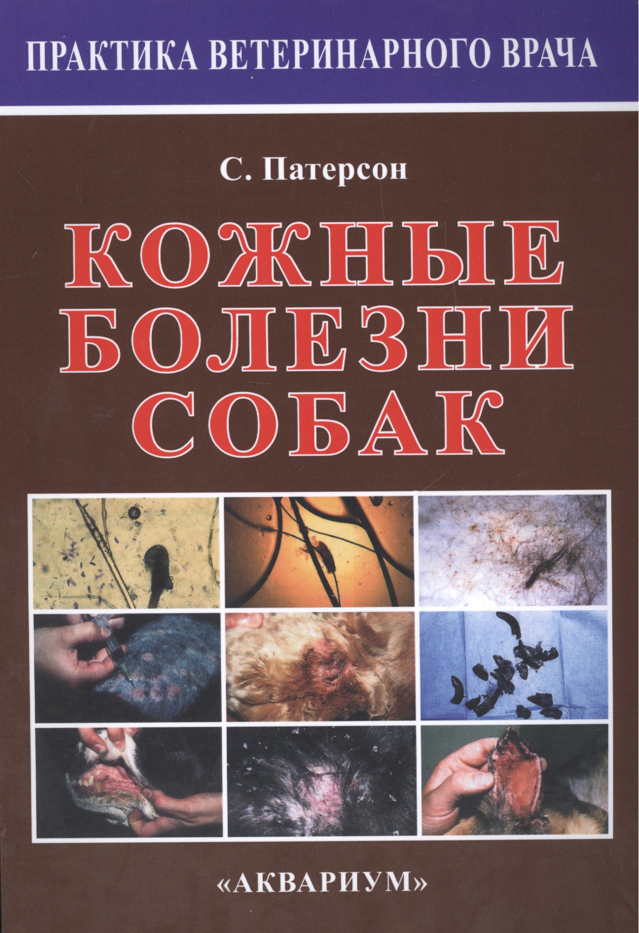 Кожные болезни собак. Читай-город