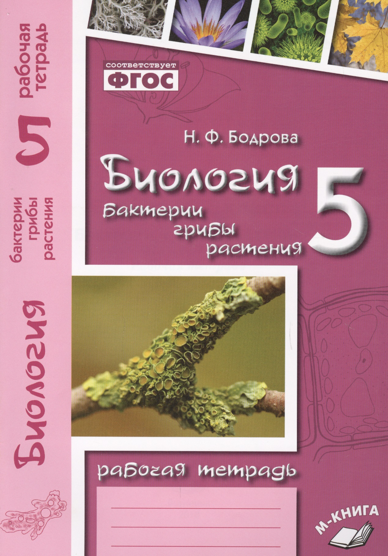 Биология. 5 класс. Бактерии, грибы, растения. Рабочая тетрадь к учебнику В.В. Пасечника "Биология. 5 класс. Бактерии, грибы, растения" Читай-город