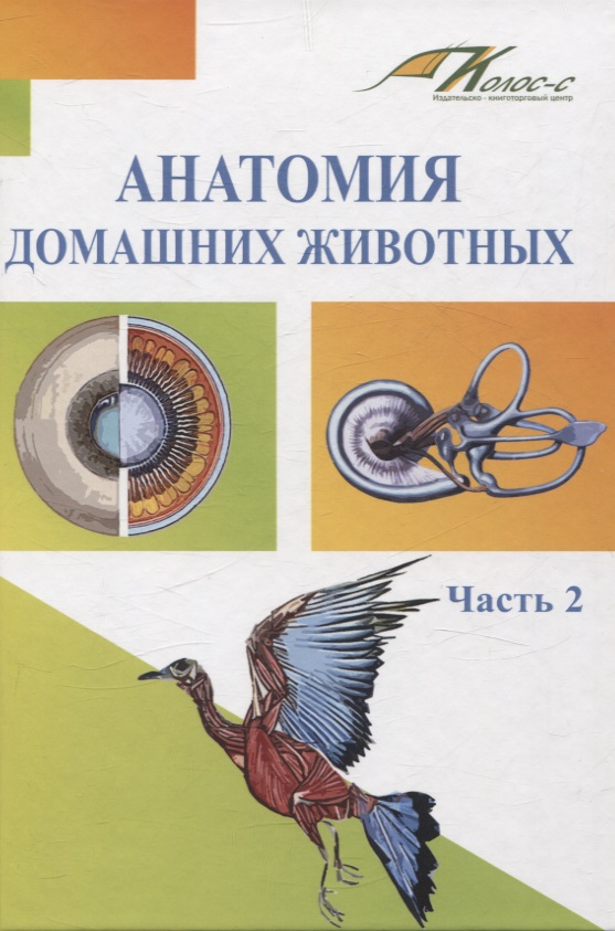 Анатомия домашних животных. Часть 2 Читай-город