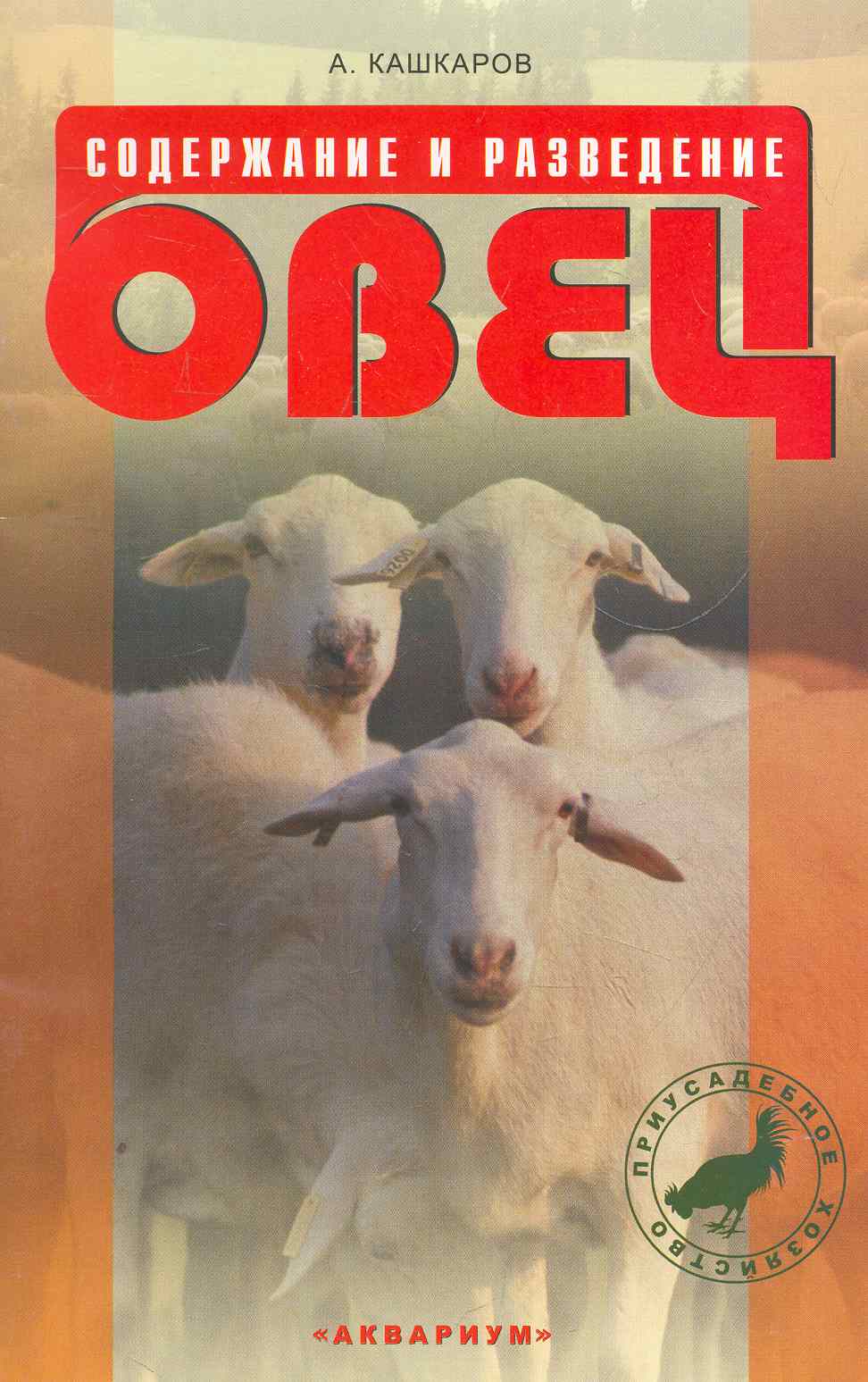 Содержание и разведение овец. Читай-город