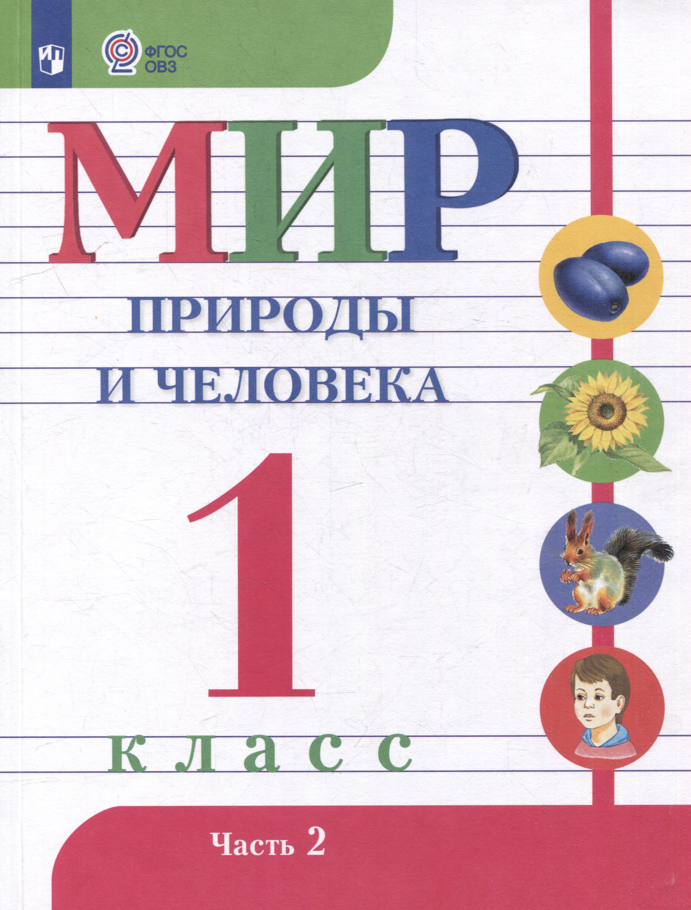 Мир природы и человека. 1 класс. Учебник. В 2 частях. Часть 2 (для обучающихся с интеллектуальными нарушениями) Читай-город
