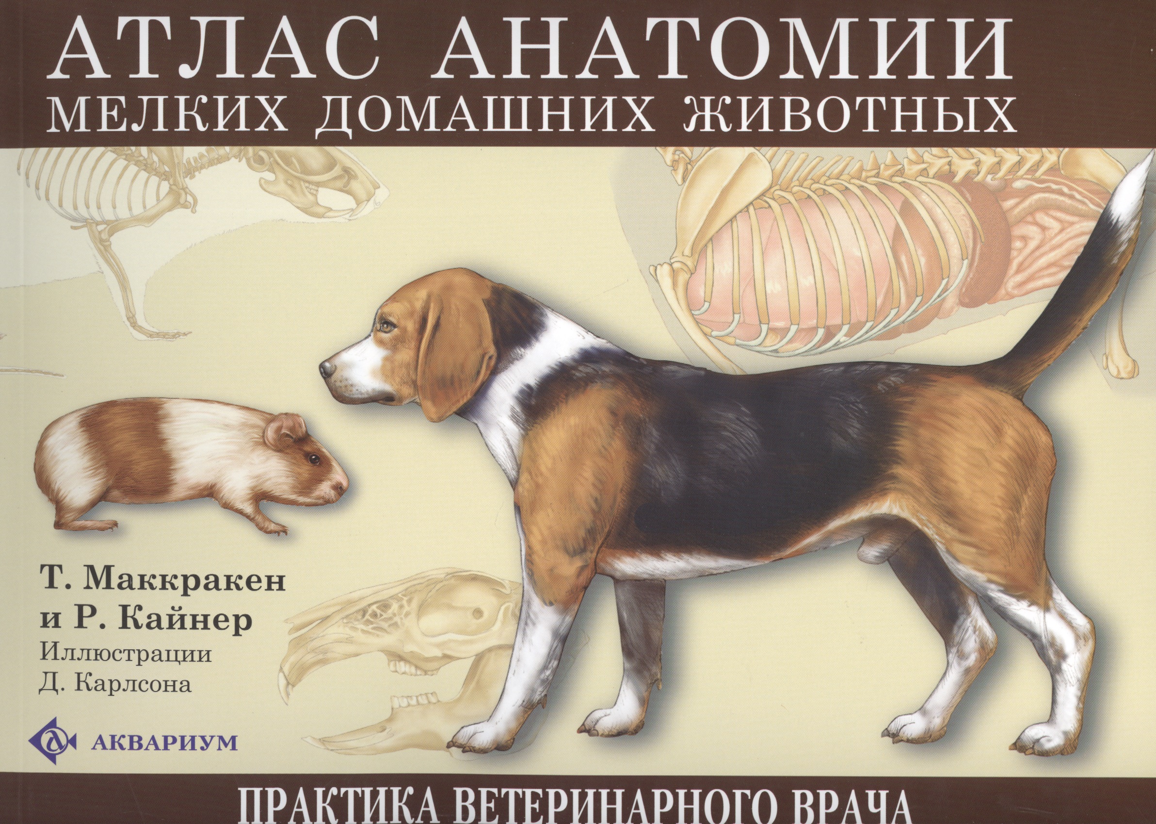 Атлас анатомии мелких домашних животных Читай-город