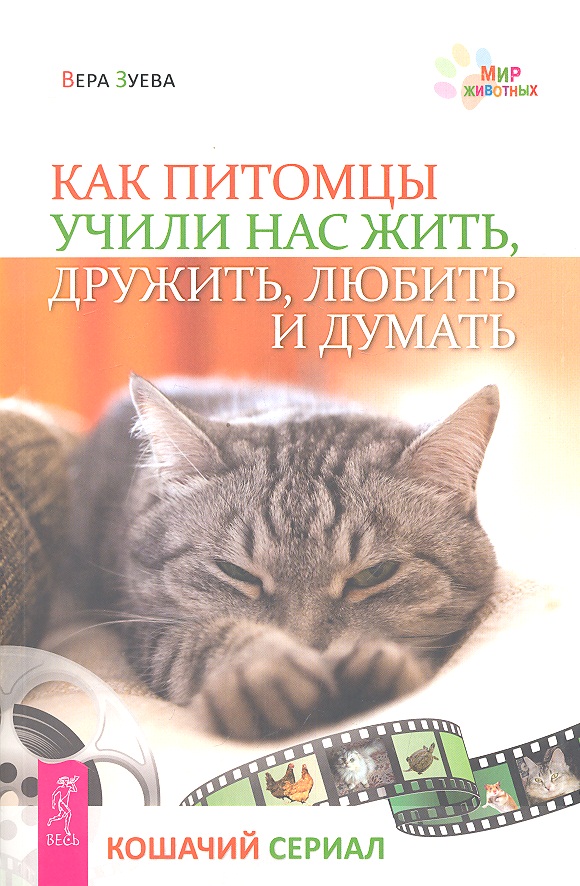 Как питомцы учили нас жить, дружить, любить и думать. Кошачий сериал Читай-город