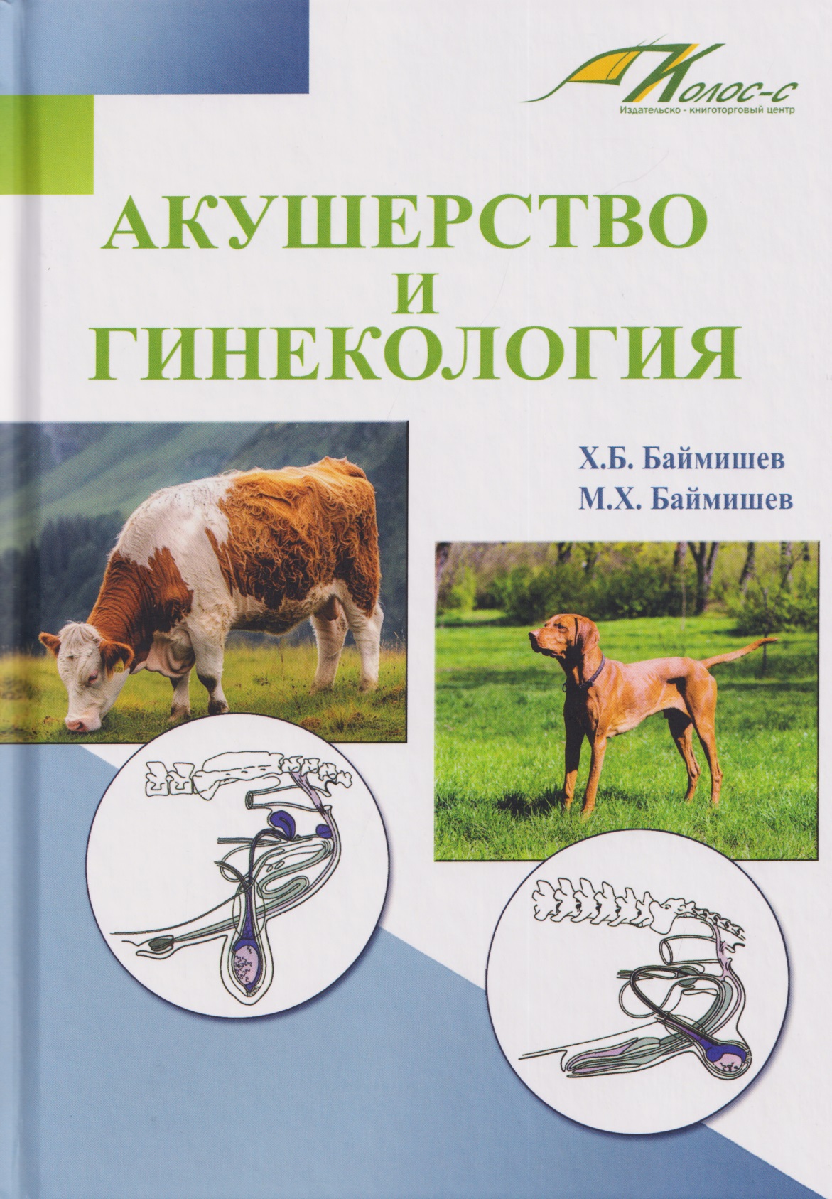 Акушерство и гинекология. Учебное пособие Читай-город