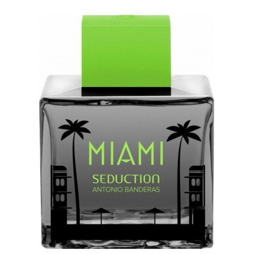 Miami Seduction In Black Antonio Banderas