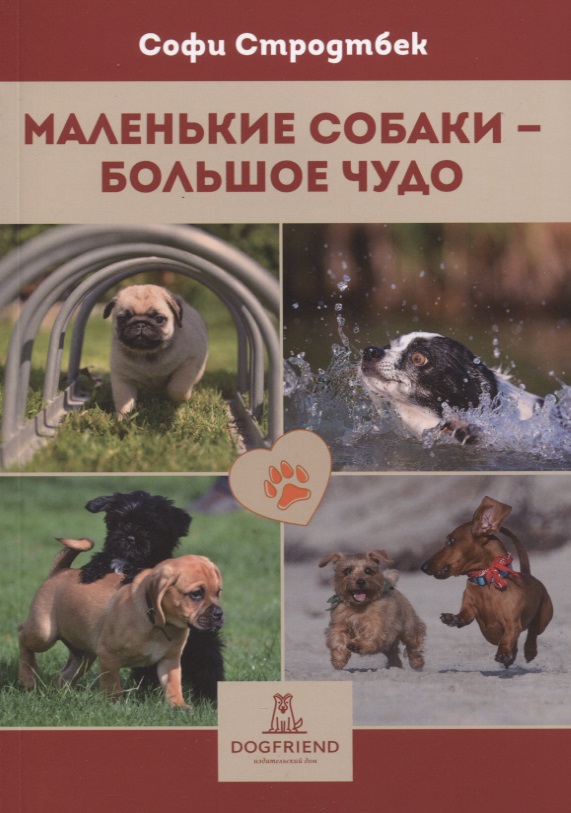 Маленькие собаки - большое чудо Читай-город