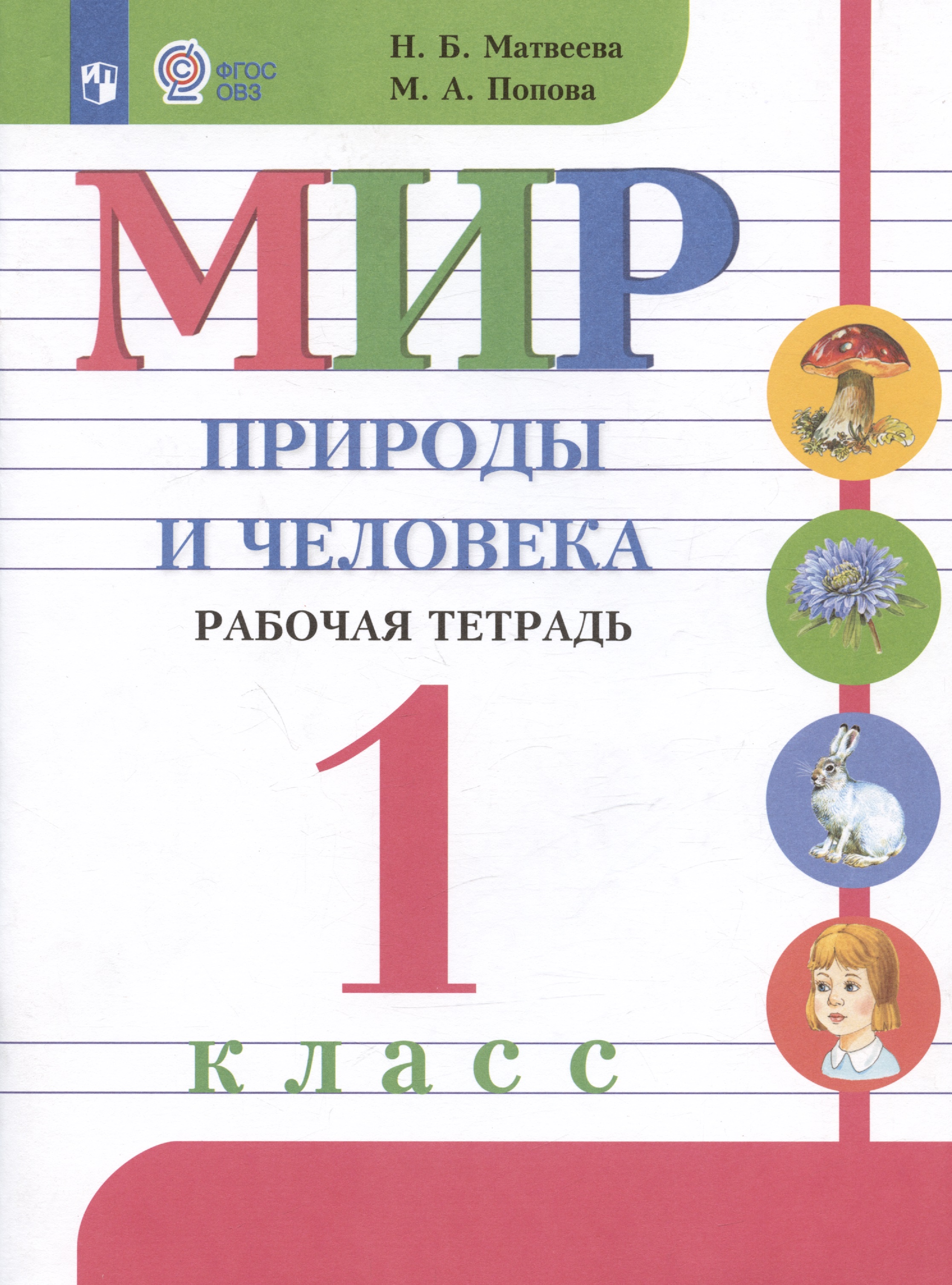 Мир природы и человека. 1 класс. Рабочая тетрадь. Учебное пособие для обучающихся с интеллектуальными нарушениями Читай-город