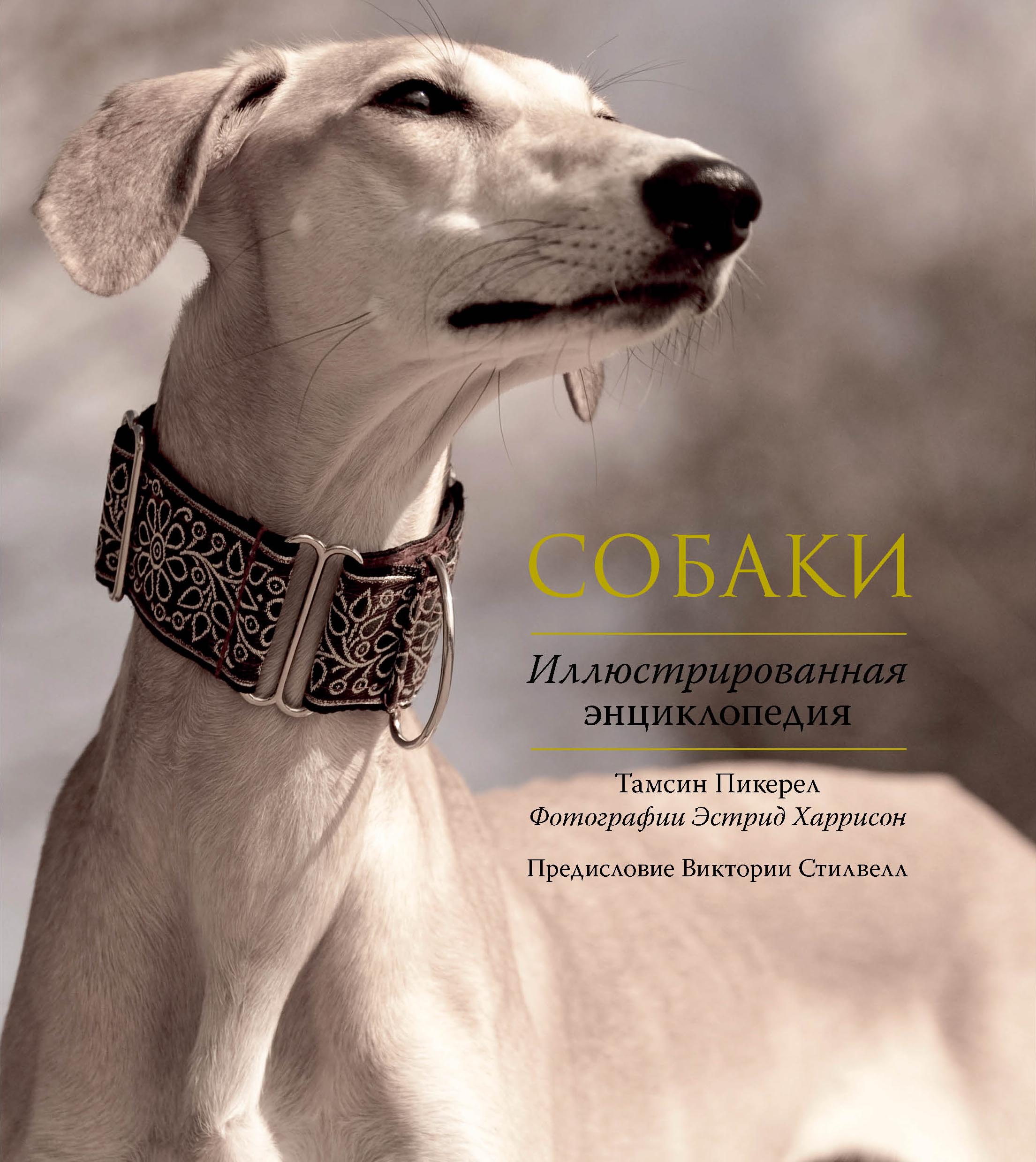 Собаки. Иллюстрированная энциклопедия Читай-город