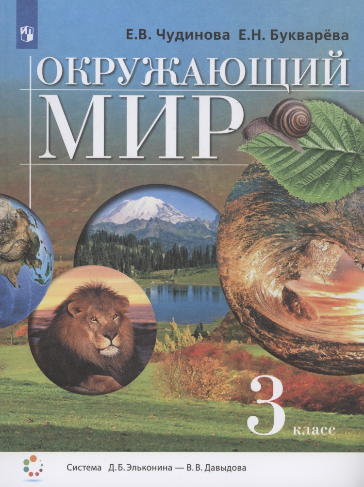 Окружающий мир. 3 класс. Учебник (Система Д.Б. Эльконина - В.В. Давыдова) Читай-город