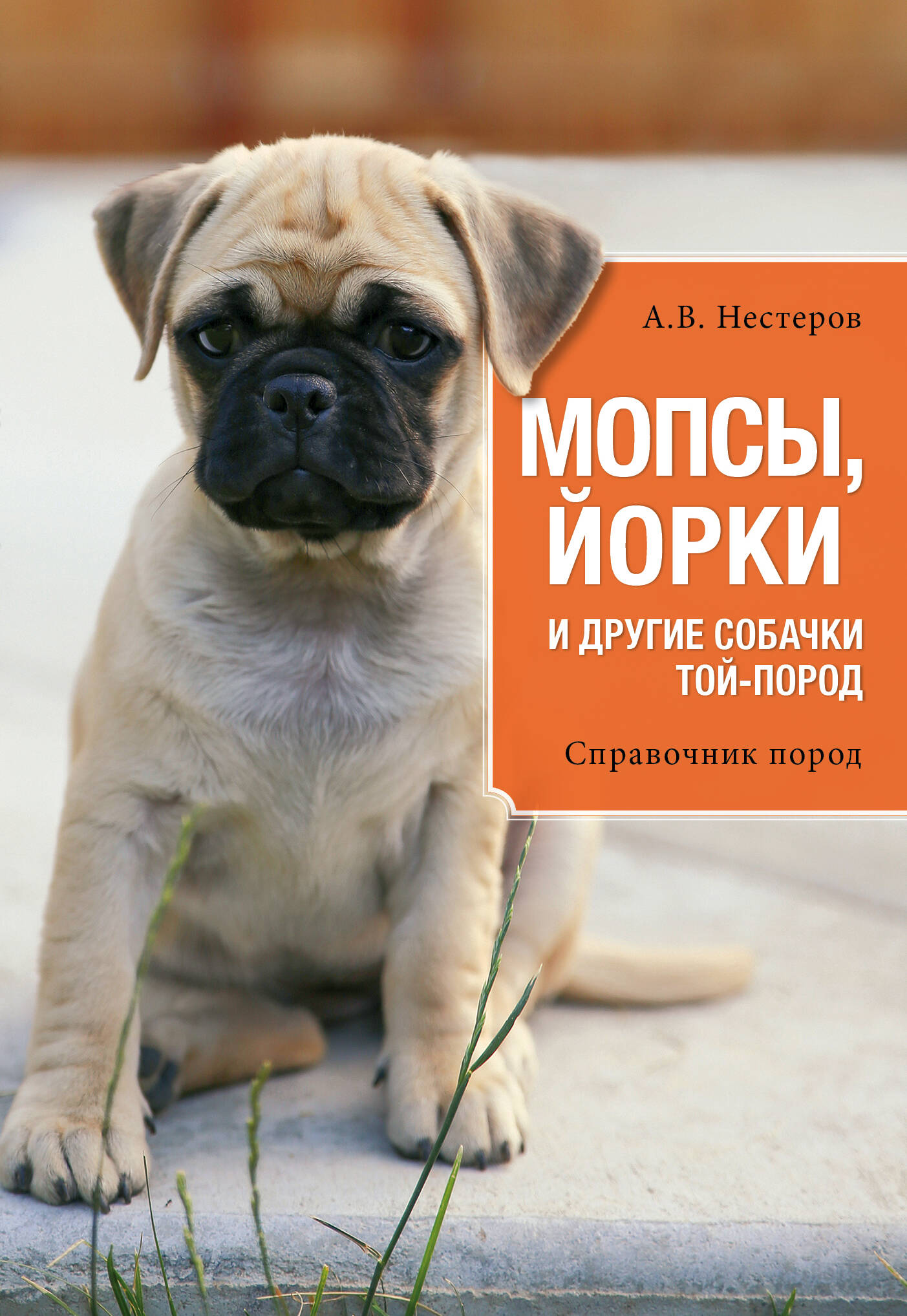 Мопсы, йорки и другие собачки той-пород Читай-город