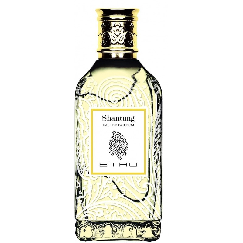 Shantung ETRO