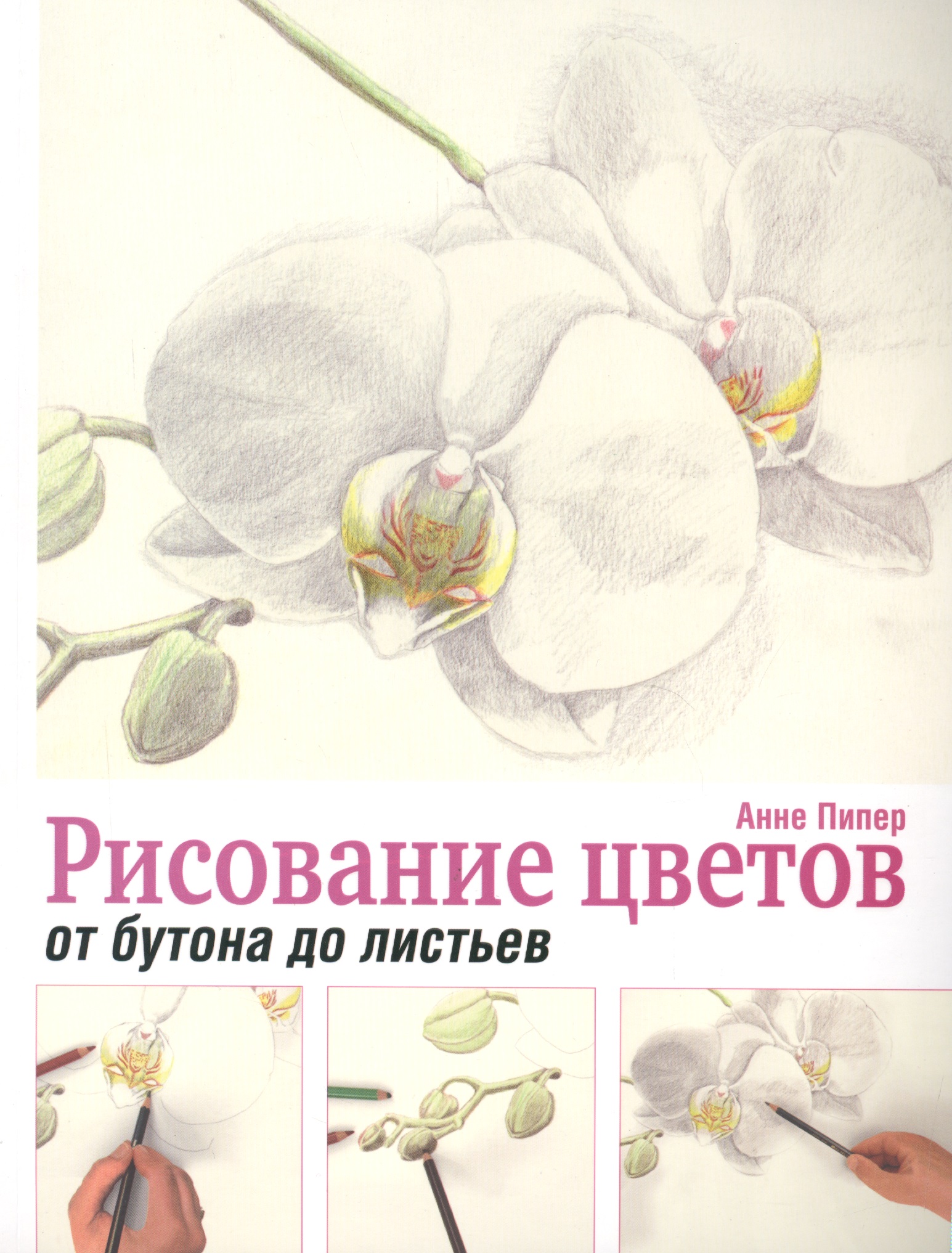 Рисование цветов от бутона до листьев Читай-город