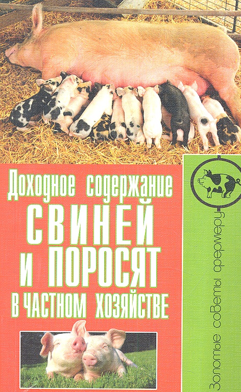Доходное содержание свиней и поросят в частном хозяйстве Читай-город