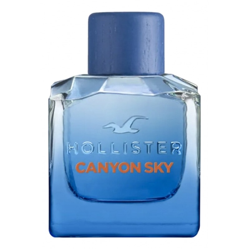Canyon Sky For Him Hollister