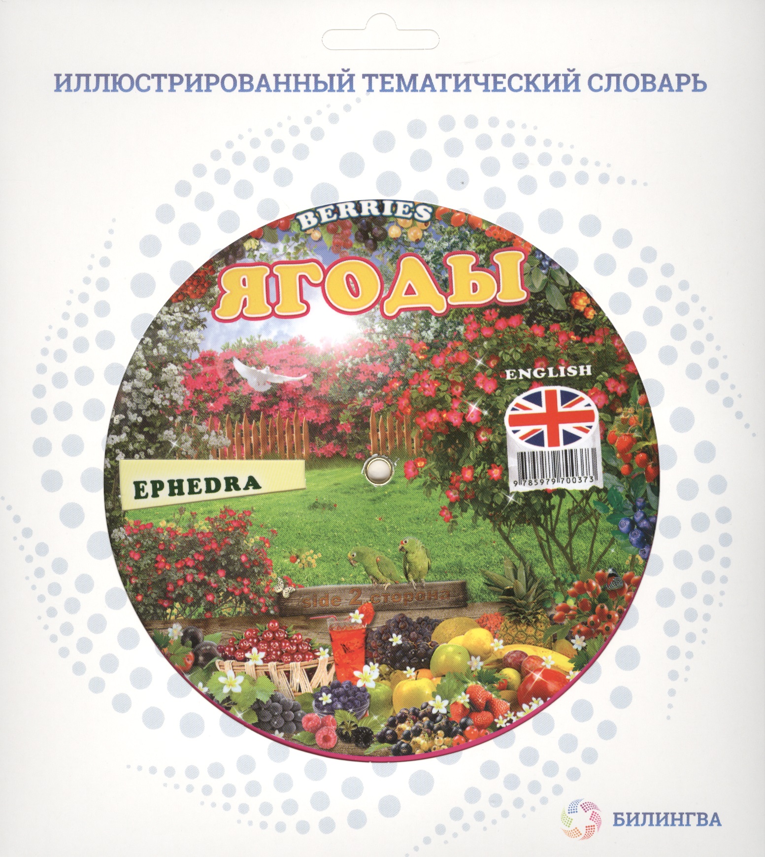 Тематический словарь BERRIES (Ягоды). Читай-город