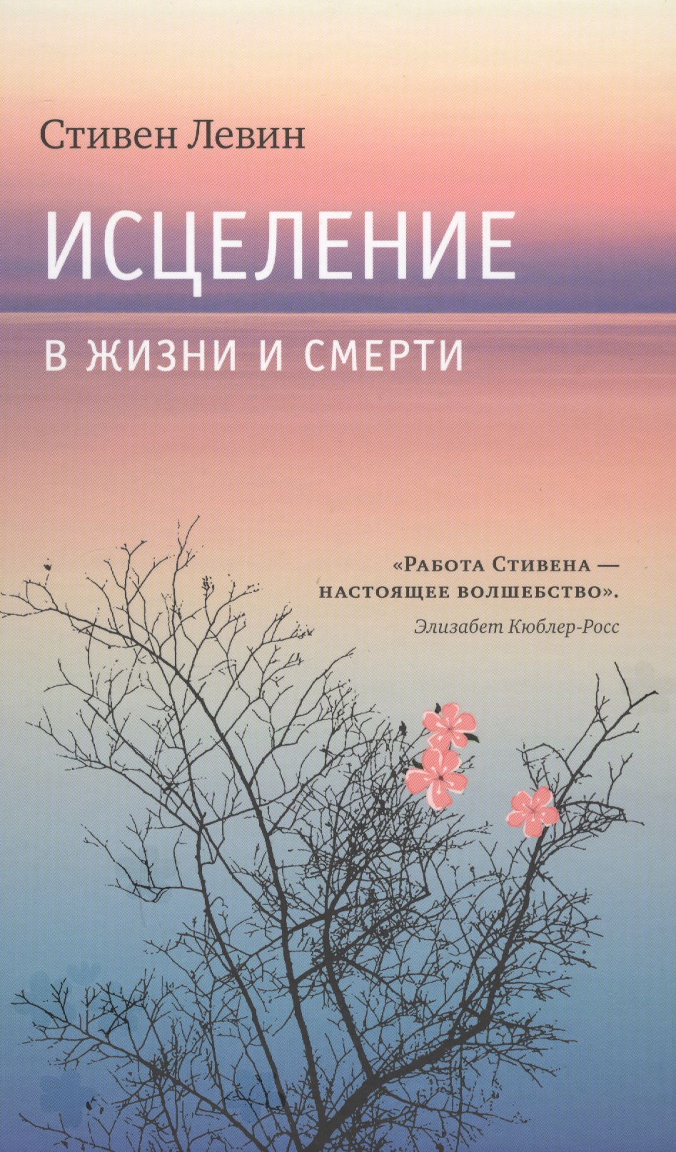 Исцеление в жизни и смерти Читай-город