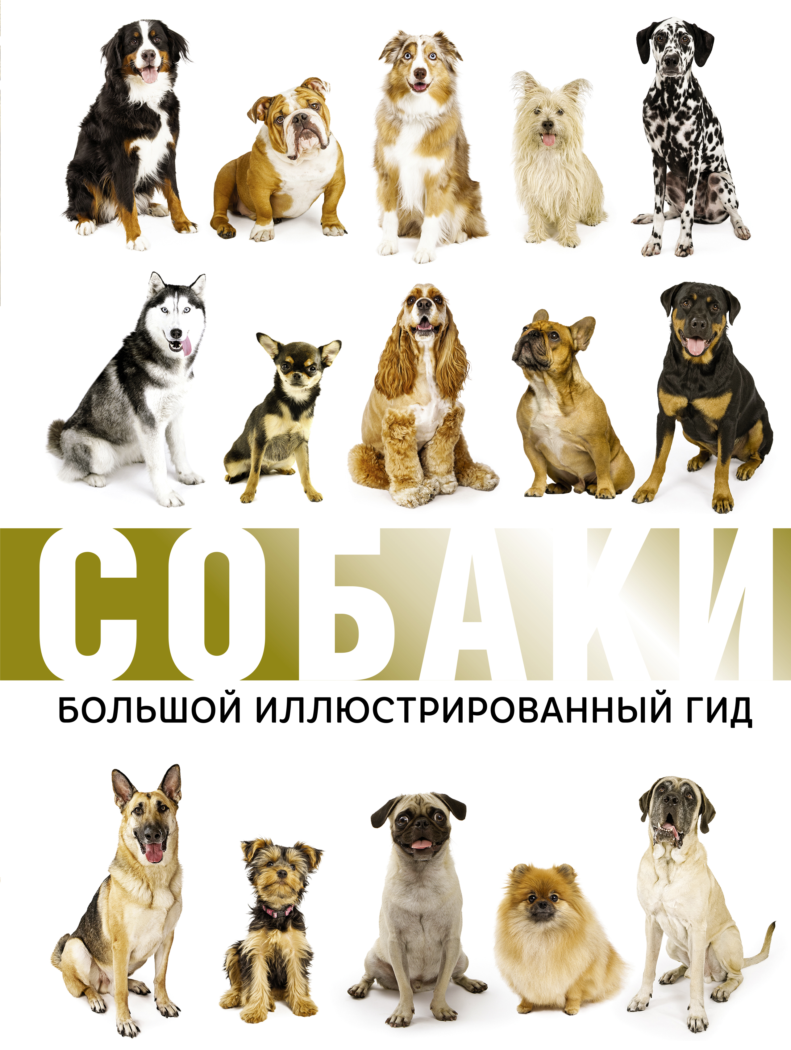 Собаки. Большой иллюстрированный гид Читай-город