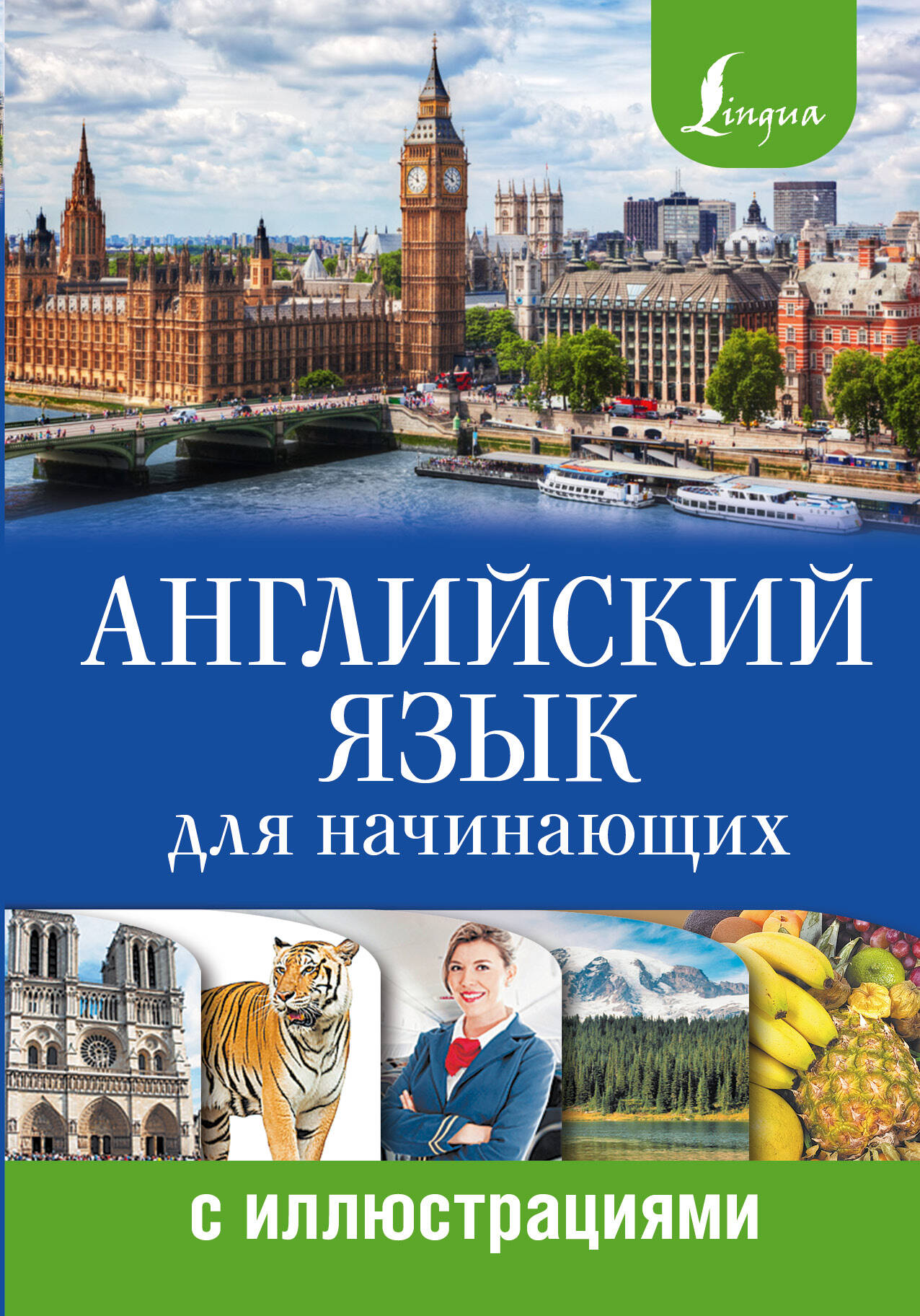 Английский язык для начинающих с иллюстрациями Читай-город