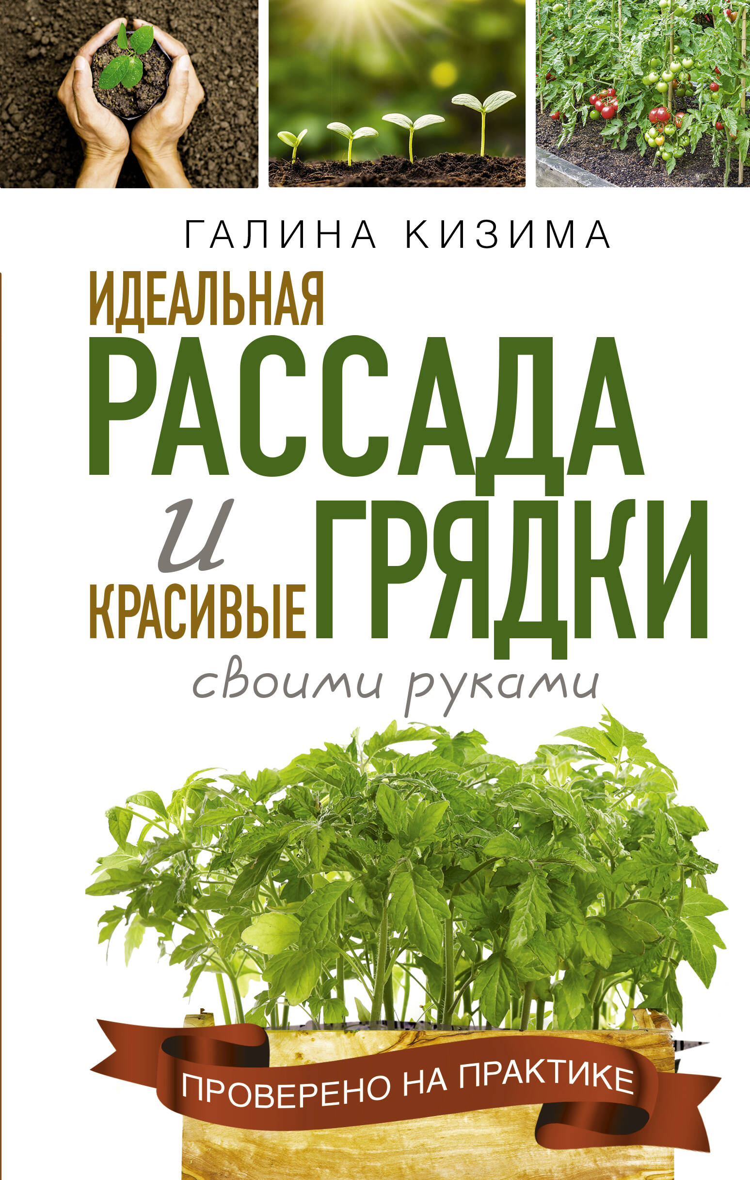 Идеальная рассада и красивые грядки своими руками Читай-город
