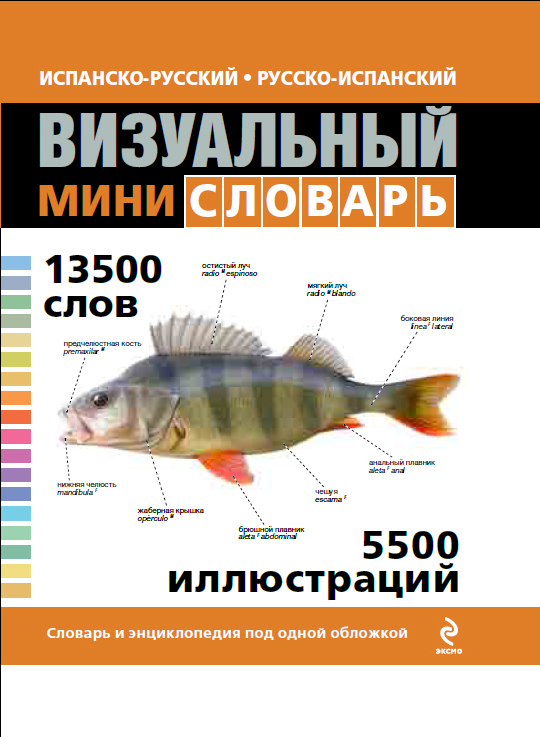 Испанско-русский русско-испанский визуальный мини-словарь Читай-город
