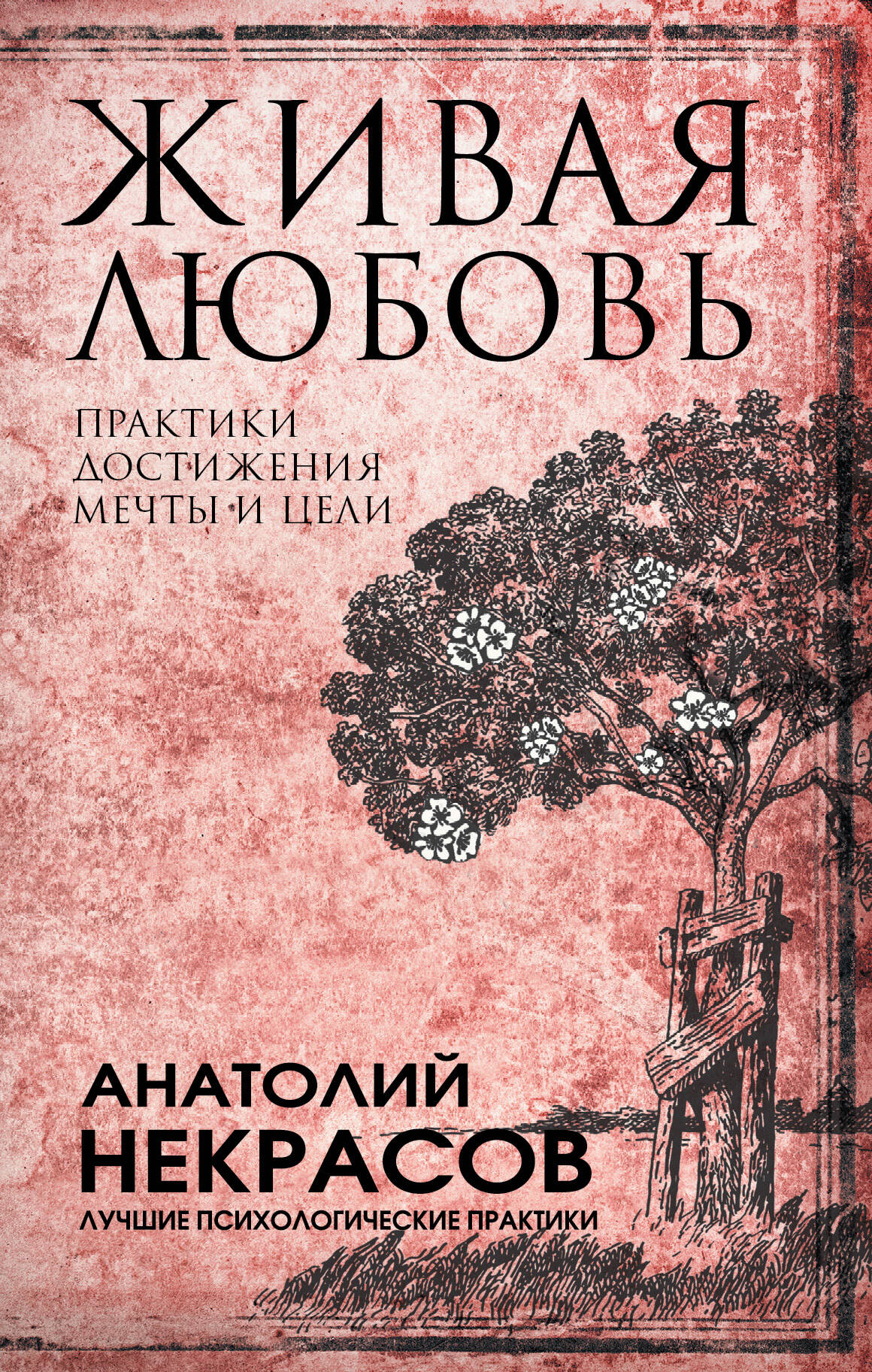 Живая любовь: практики достижения мечты и цели Читай-город