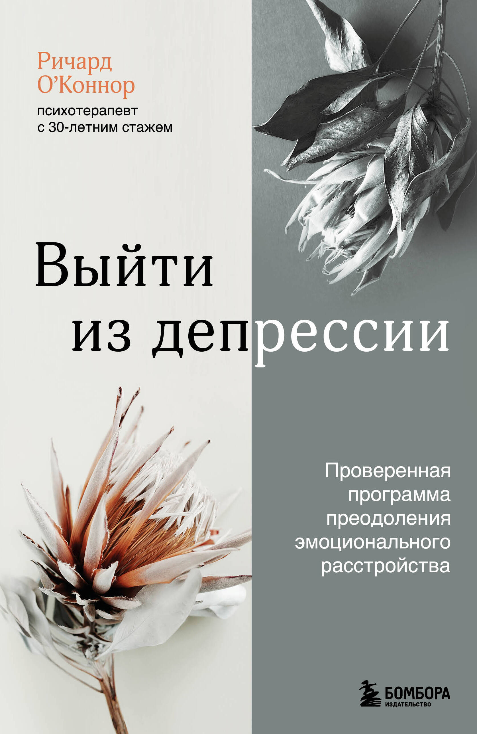 Выйти из депрессии. Проверенная программа преодоления эмоционального расстройства Читай-город