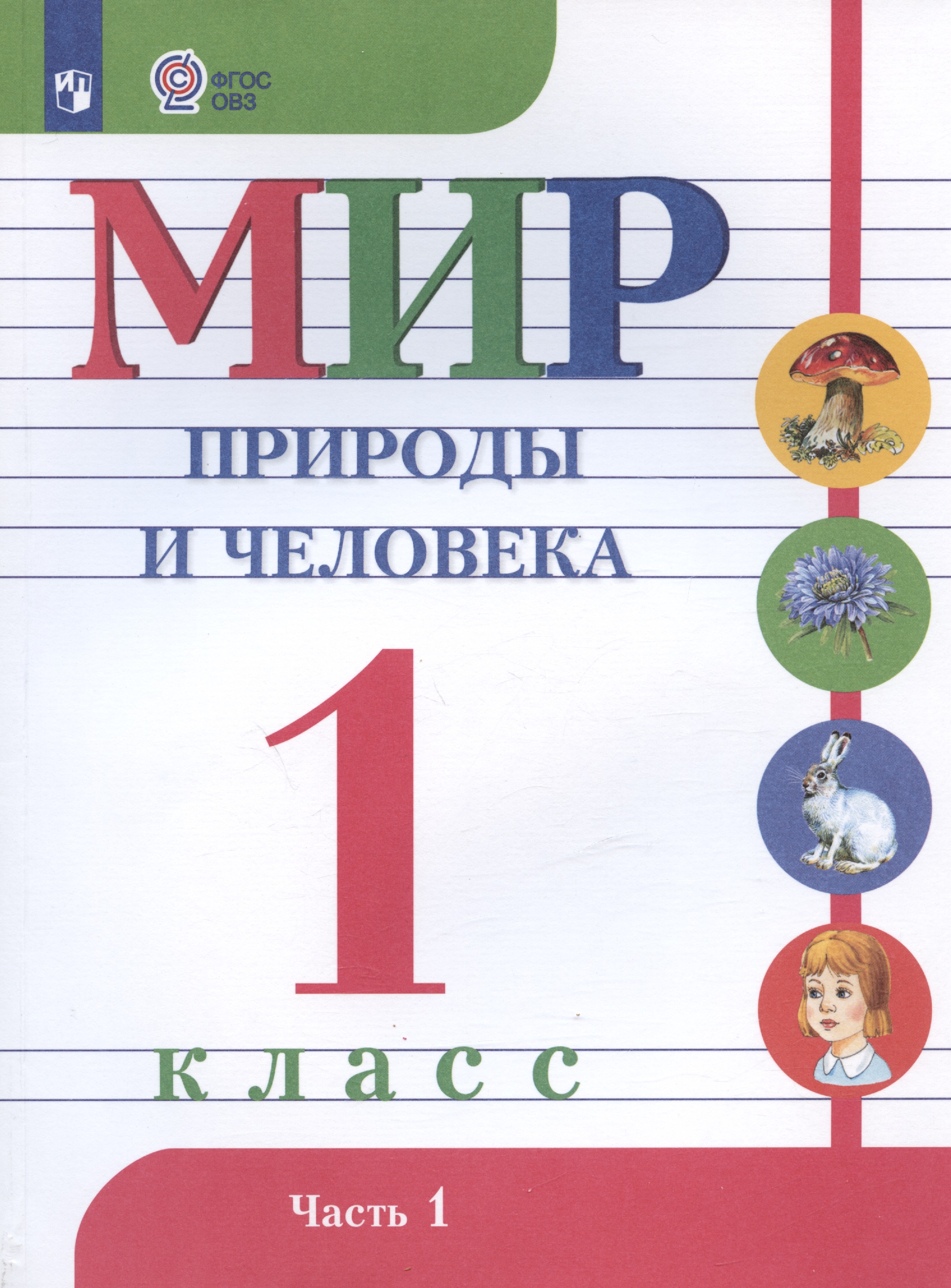 Мир природы и человека. 1 класс. Учебник для детей с интеллектуальными нарушениями. В двух частях. Часть 1 Читай-город