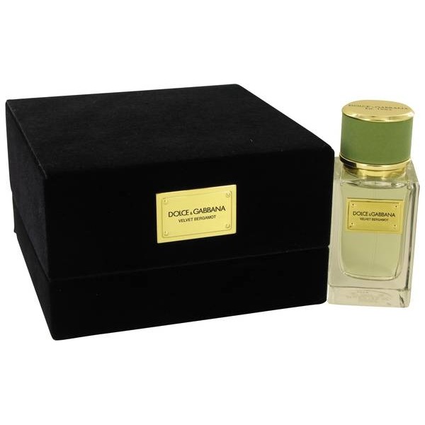 Velvet Bergamot DOLCE & GABBANA
