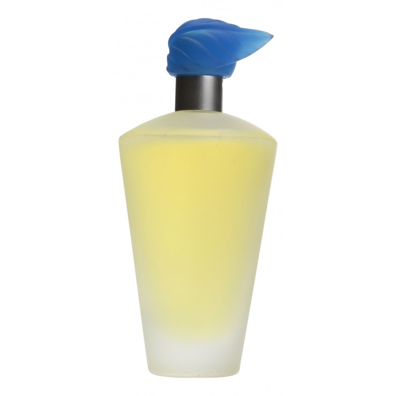 Havana Pour Elle Aramis