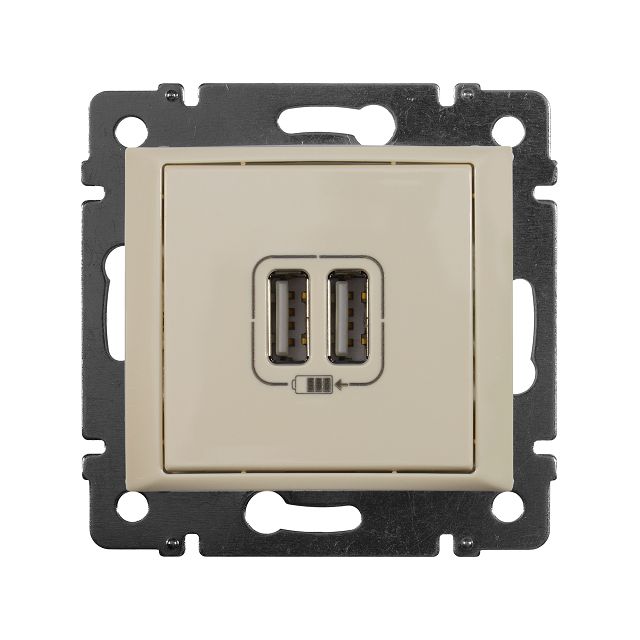 розетка USB встраиваемая LEGRAND Valena без заземления слоновая кость
