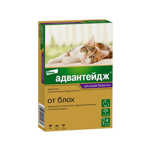 Адвантейдж капли на холку от блох 0,8мл №4 (для кошек весом более 4кг) KVP Pharma+Veterin 154097