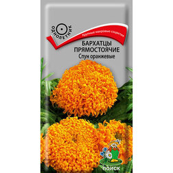 Бархатцы прямостоячие Спун оранжевые Интернет-магазин семян и посадочного материала onlinesemena.ru