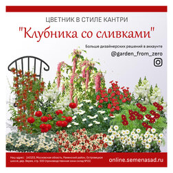 Набор семян для цветника в стиле кантри "Клубника со сливками" Интернет-магазин семян и посадочного материала onlinesemena.ru