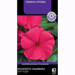 Катарантус Пацифика Бургунди (Семена Профи) Интернет-магазин семян и посадочного материала onlinesemena.ru
