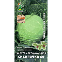 Капуста белокочанная Сибирячка 60 (сибирская серия) (срок реализации до конца 2026г) Интернет-магазин семян и посадочного материала onlinesemena.ru