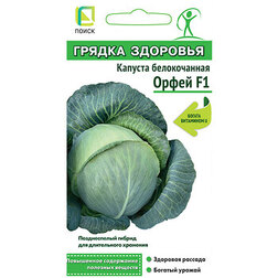 Капуста белокочанная Орфей F1 (Грядка здоровья)(срок реализации до конца 2026г) Интернет-магазин семян и посадочного материала onlinesemena.ru