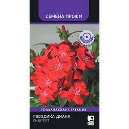 Гвоздика Диана Скарлет (Семена Профи)(срок реализации до конца 2026 г) Интернет-магазин семян и посадочного материала onlinesemena.ru