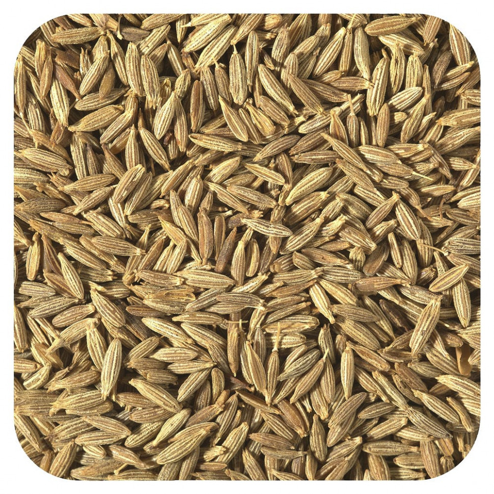 Starwest Botanicals, Органические цельные семена тмина, 1 фунт Старвест Ботаникалс STR-06230