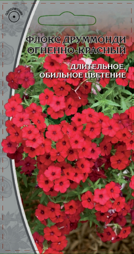 Флокс друммонди Огненно-красный 0,1 гр АгроСемФонд
