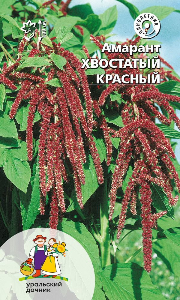 Амарант Хвостатый красный (УД) 0,25 гр цв п АгроСемФонд