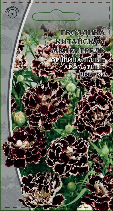 Гвоздика китайская Менестрель  0,05 гр АгроСемФонд