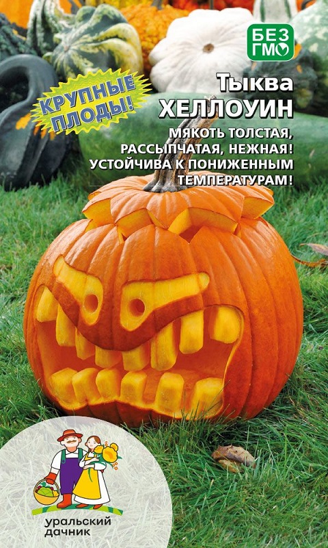 Тыква Хеллоун (УД) 5 шт цв.п. АгроСемФонд