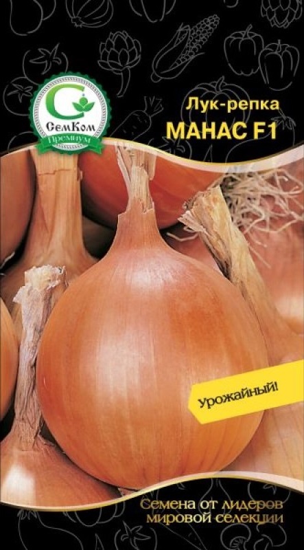 Лук репчатый Манас F1 (Bejo Zaden) 0,5 г цв.п. АгроСемФонд