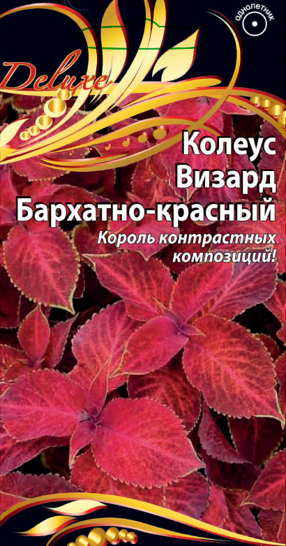 Колеус Визард бархатно-красный 5 шт АгроСемФонд