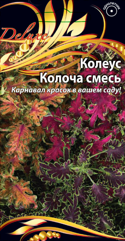 Колеус Колоча смесь 5 шт АгроСемФонд