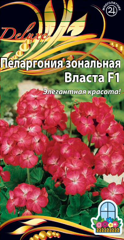 Пеларгония зональная F1 Власта 5 шт АгроСемФонд