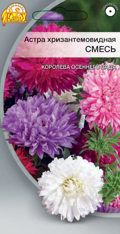 Астра Хризантемовидная смесь 0,2 гр АгроСемФонд