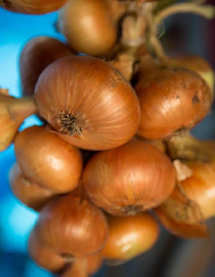 Лук репчатый Классика (УД) 0,3 гр цв.п. АгроСемФонд